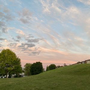 Meet your Posher, Anne